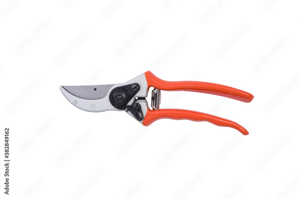 red gardening scissors on a white background red gardening scissors on a white background