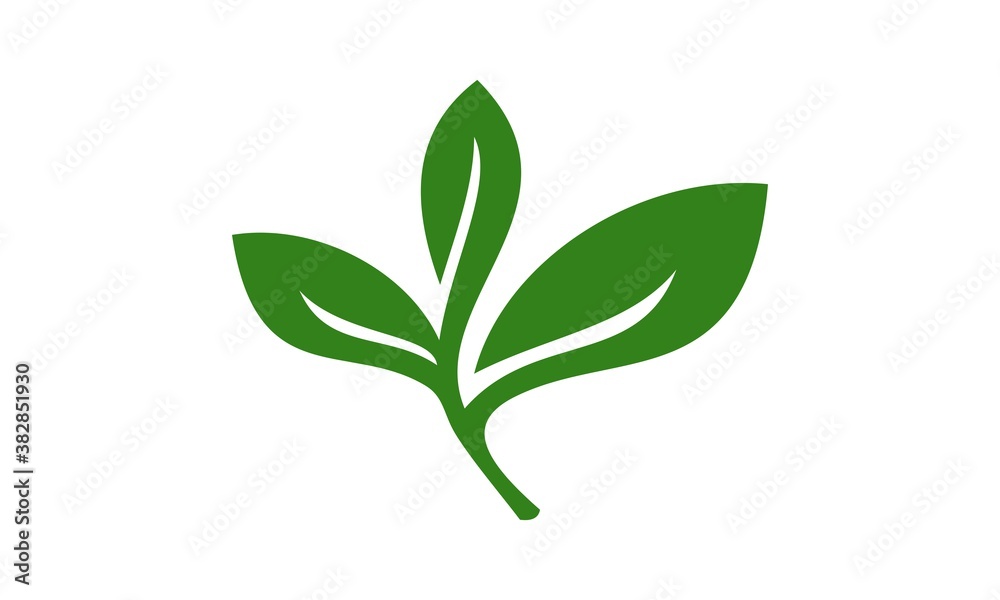 green leaf icon vector