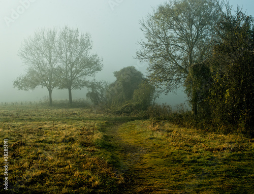 Early morning on a cold  sunny and misty winter s day on Butser Hill  Hampshire UK