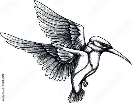 Eisvogel