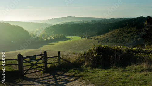 An early morning view over Butser Hill looking south.