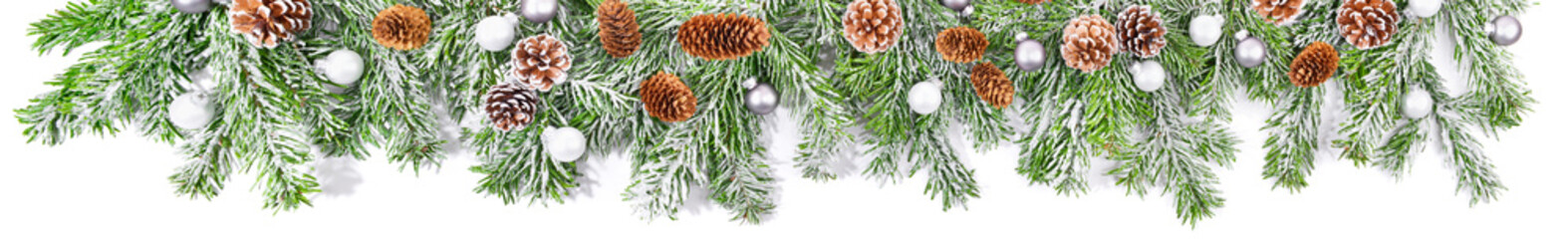 Christmas Fir Branches with Fir Cones and Snow isolated on white Background - Panorama