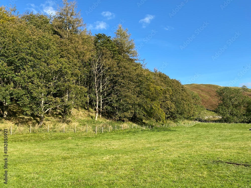 Corner of an empty meadow, with a small forest, and fells in the distance in, Littondale, Skipton, UK