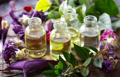 A bottle of common mallow essential oil with dried flowers. Dried herbs with essential oils for aromatherapy treatment. 