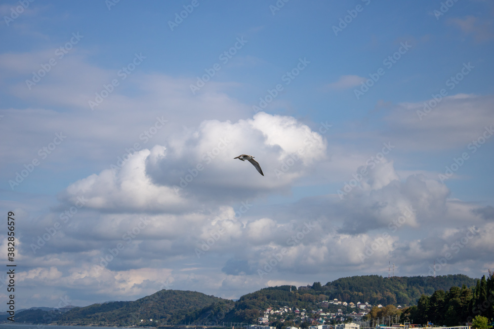 A seagull soaring in the blue sky with floating clouds. A seagull soaring in the blue sky with floating clouds.