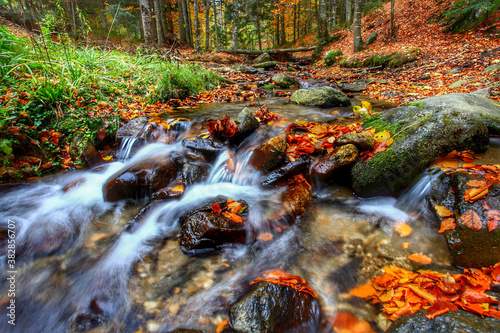 Mountain stream in autumn. Stream in the forest.