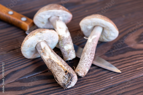 Cut young boletus mushrooms and a knife with a wooden handle on a wooden background, close-up, selective focus. Autumn harvest, gifts of nature.