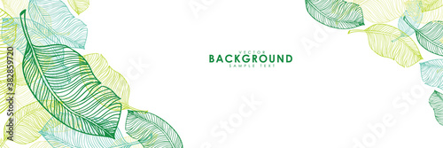 Vector illustration of leaves nature background cover page