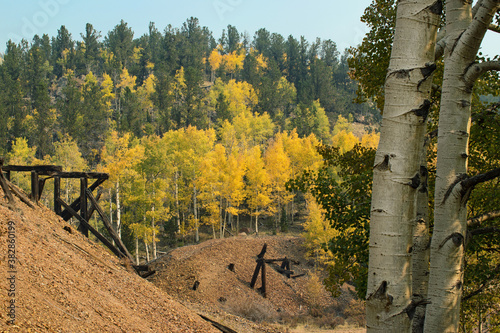 Aspen tree leaves changing color during autumn framed by aspen tree trunks and an abandoned train trestle bridge near Cripple Creek, Colorado photo