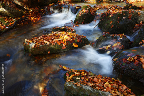 Mountain stream in autumn. Stream in the forest.