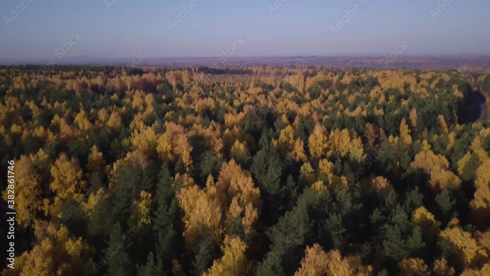 morning flight over a mixed forest road morning flight over a mixed forest road