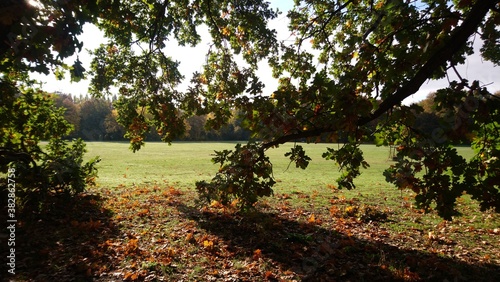 Autumn in Treptower park in capital of Germany