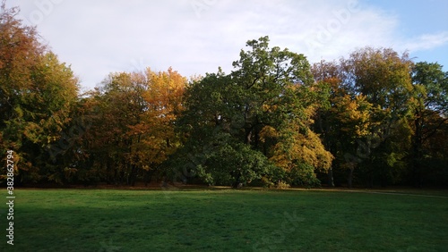 Autumn in Treptower park in capital of Germany