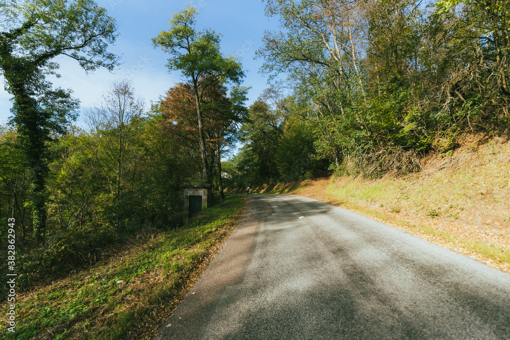 Fototapeta premium 道