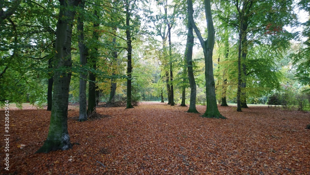 Autumn in Treptower park in capital of Germany Autumn in Treptower park in capital of Germany