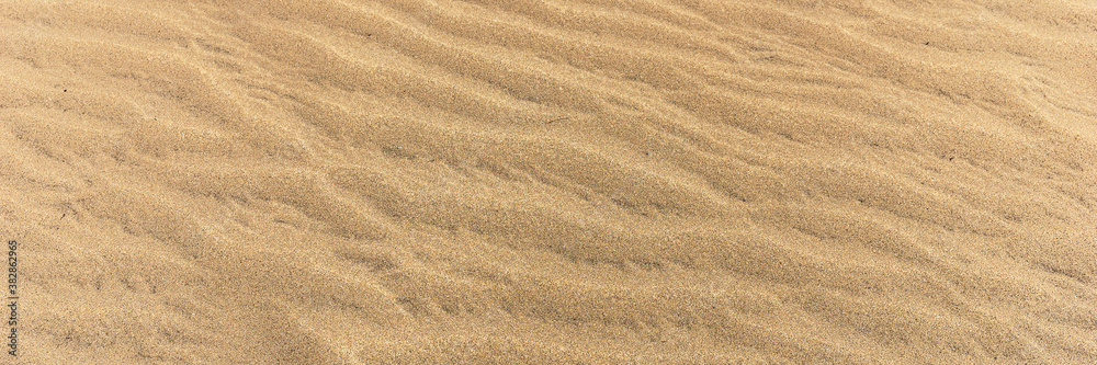 Panoramic sandy background. Sand on the beach formed by wind Panoramic sandy background. Sand on the beach formed by wind