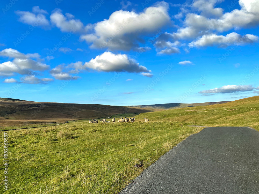 Road, high on the moor tops, leading from Halton Gill to Settle, with grass, sheep, and broken cloud near, Stainforth, Settle, UK