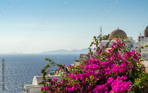 Colorful Bougainvillea flowers with white traditional buildings and typical dome church in Oia, Santorini, Greece