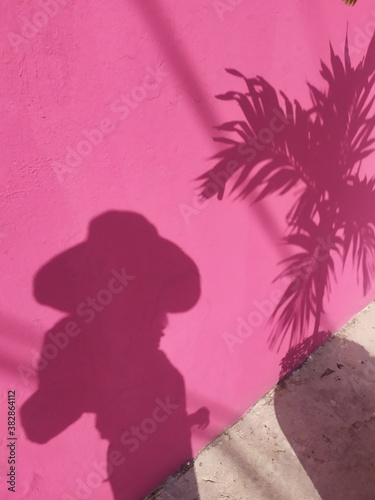 Tropical Pink Shadow 
