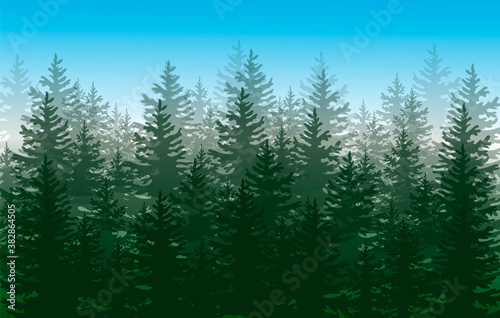 Forest background  nature  landscape. Evergreen coniferous trees. Vector illustration.