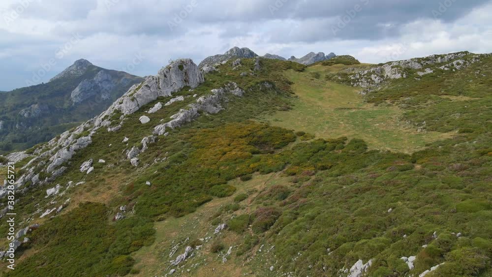 Drone flying low over colorful alpine plants, Redes Natural Park, Spain Drone flying low over colorful alpine plants, Redes Natural Park, Spain
