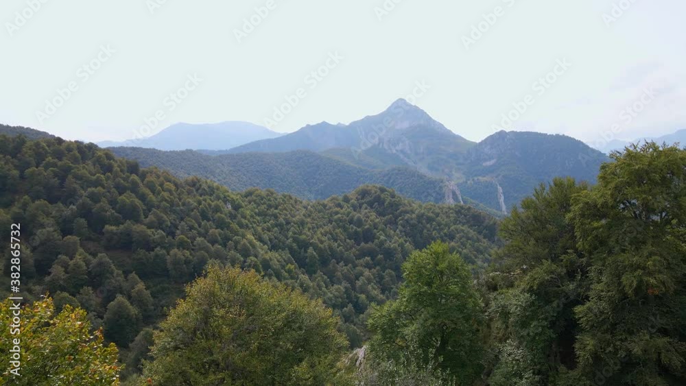 Vegetation on mountain slope, Redes Natural Park, Aerial drone POV pull-back shot Vegetation on mountain slope, Redes Natural Park, Aerial drone POV pull-back shot