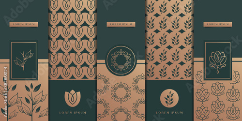 logo Luxury golden packaging design,flower,nature,floral,olive tree,pattern.Premium Vector