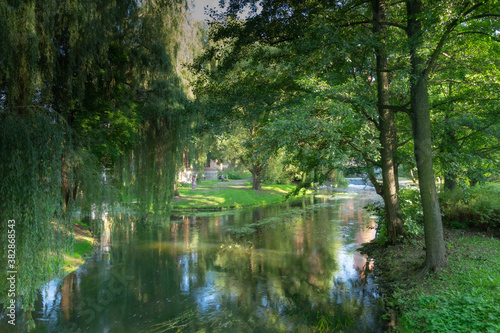 Park olsztyński malowany światłem