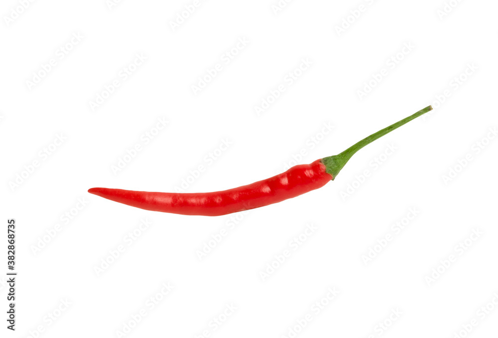 Red chilli isolated on white background Red chilli isolated on white background