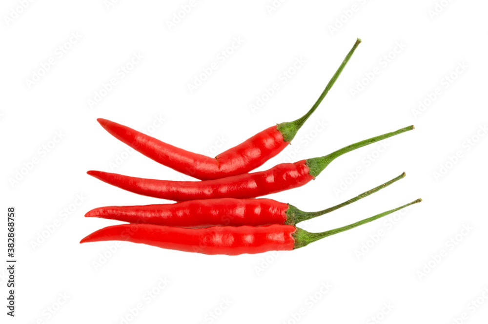 Red chilli isolated on white background Red chilli isolated on white background