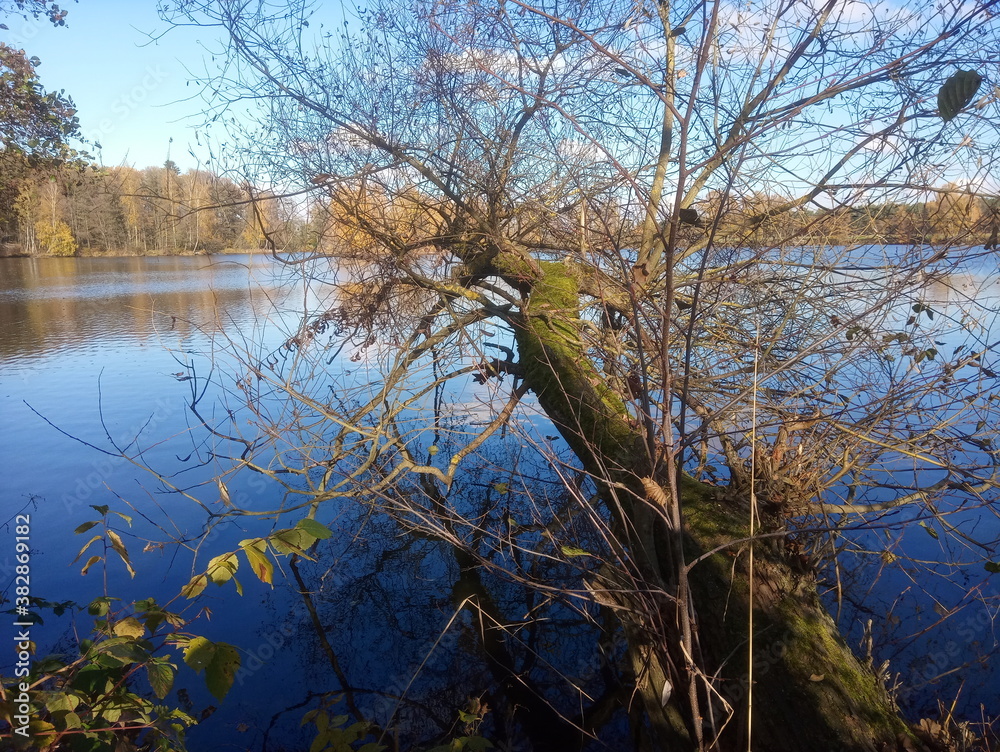 Obraz premium landschaft