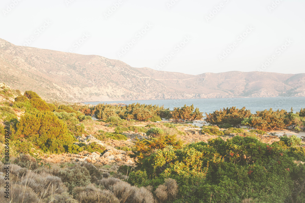 Fototapeta premium Wild beach nature, mediterranean sea. Mountains, shrubs, spruce and needles.