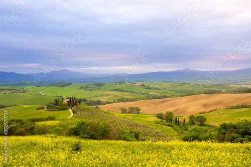 Spring sunrise over the green fields of Val d Orcia in Tuscany