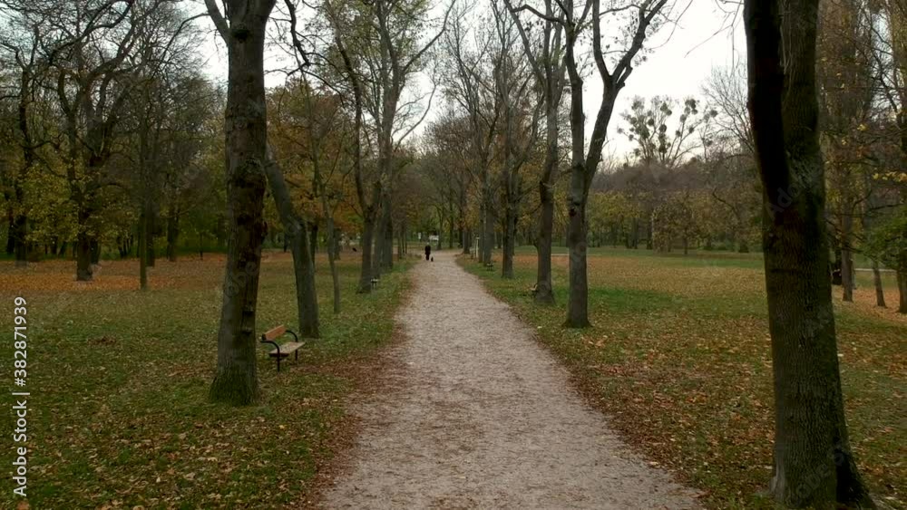 Aerial shot of path between autumn trees in Prater, Vienna, Austria, person walking in the distance Aerial shot of path between autumn trees in Prater, Vienna, Austria, person walking in the distance