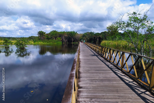Bridge over the Timeantube River; entrance to the park Klaus Peter in the Praia do Forte. Mata de São João; Bahia; Brazil.