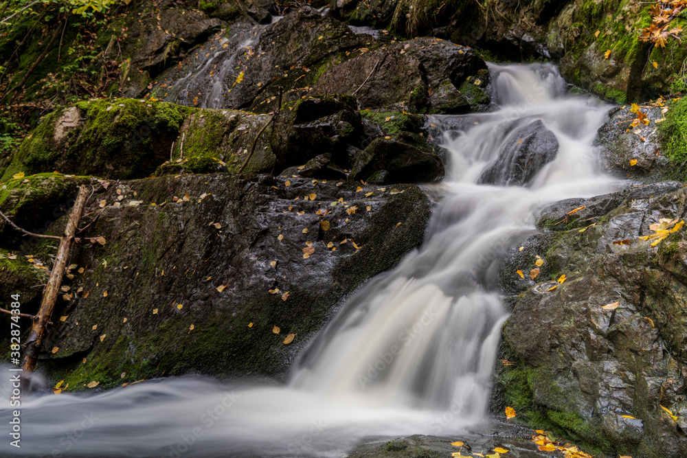 Fototapeta premium Wartki górski potok w skandynawskim lesie
