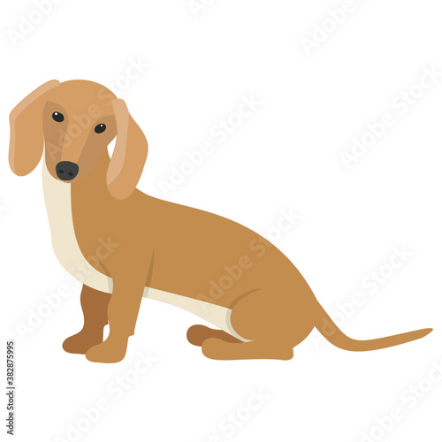   Dog cartoon icon rottweiler 