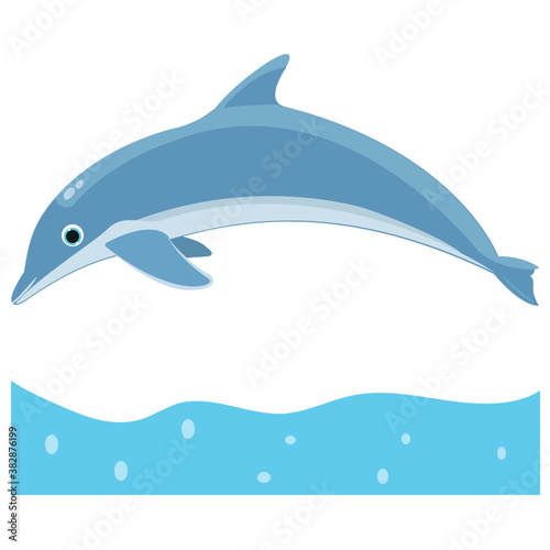  A jumping dolphin in a sea water  