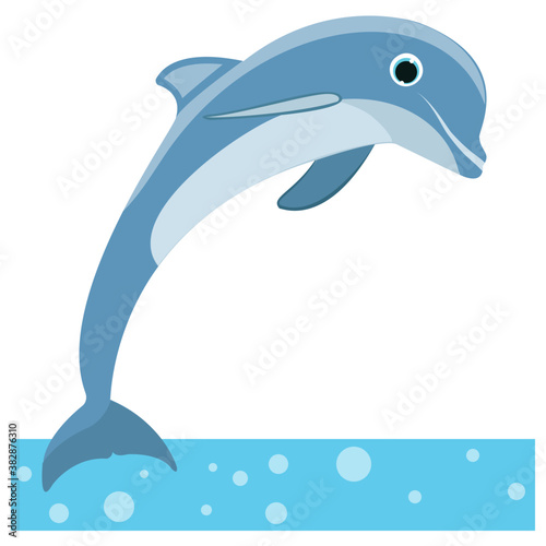  A jumping dolphin in a sea water 