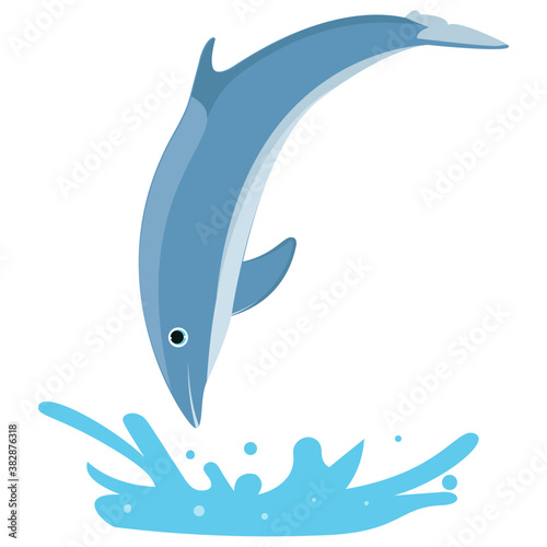 
A jumping dolphin in a sea water 

