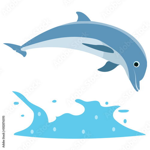 
A jumping dolphin in a sea water 
