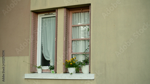 Window edge of a house and its flowering plants 