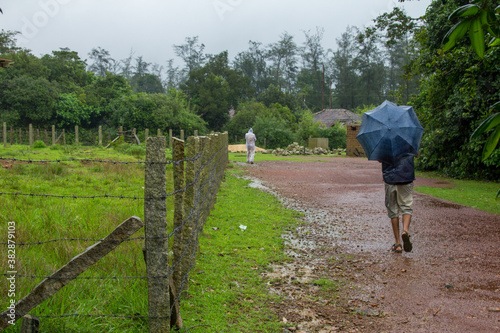 person walking on a path