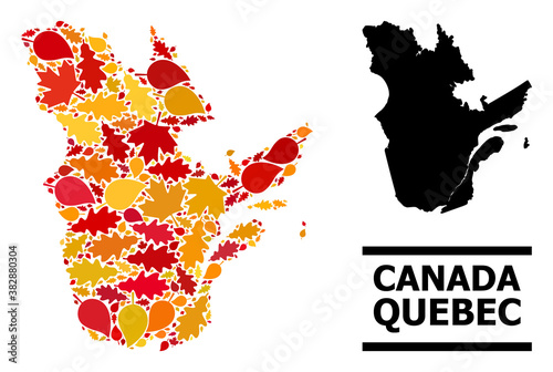 Mosaic autumn leaves and solid map of Quebec Province. Vector map of Quebec Province is composed from random autumn maple and oak leaves. Abstract geographic scheme in bright gold, red,