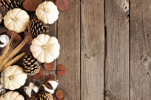 Fall side border of white pumpkins with muted brown autumn decor. Top view on a rustic dark wood background with copy space.