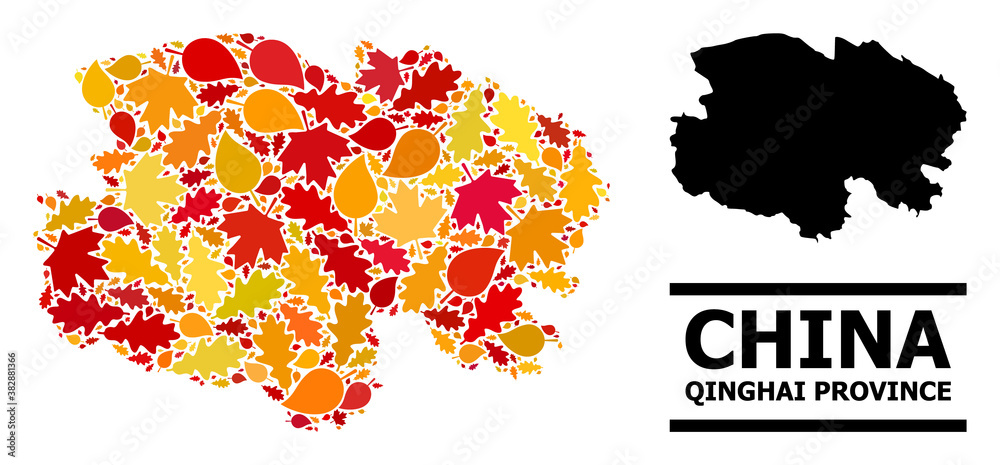 Mosaic autumn leaves and usual map of Qinghai Province. Vector map of Qinghai Province is done from scattered autumn maple and oak leaves. Abstract geographic scheme in bright gold, red,