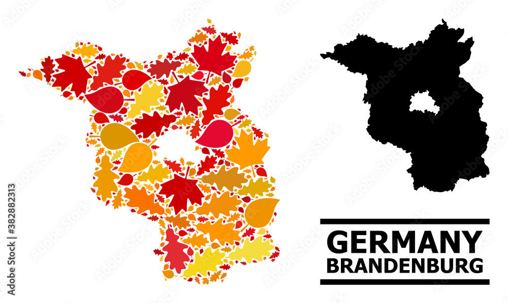 Obraz premium Mosaic autumn leaves and solid map of Brandenburg State. Vector map of Brandenburg State is shaped of random autumn maple and oak leaves. Abstract territory plan in bright gold, red,