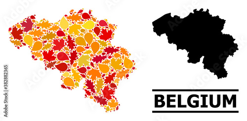 Mosaic autumn leaves and usual map of Belgium. Vector map of Belgium is designed of scattered autumn maple and oak leaves. Abstract territorial plan in bright gold, red,