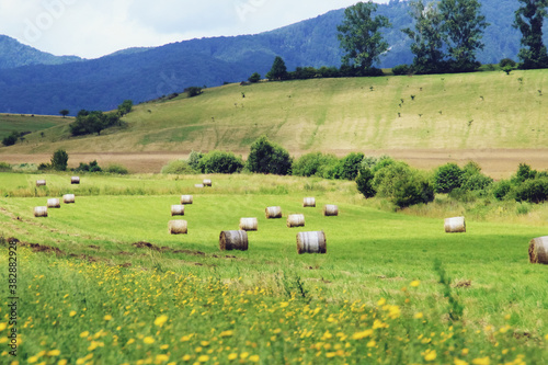 Fardos de heno en un campo recién cortado a la espera de ser recogido. Paisaje agrícola de verano en las cercanías de la ciudad de Rotbav en Rumania. photo