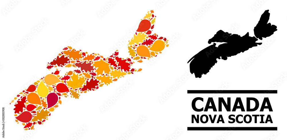 Mosaic autumn leaves and usual map of Nova Scotia Province. Vector map of Nova Scotia Province is shaped from random autumn maple and oak leaves. Abstract territory plan in bright gold, red,